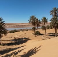 عميل